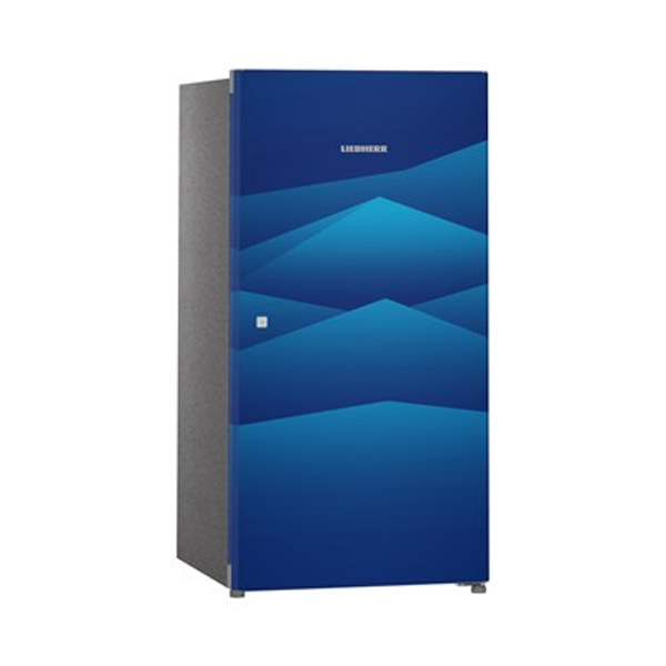 Buy Liebherr 220 Litres 4 Star DBL 2220 BLUE CLUSTER I Direct Cool Single Door Refrigerator - Vasanth and Co