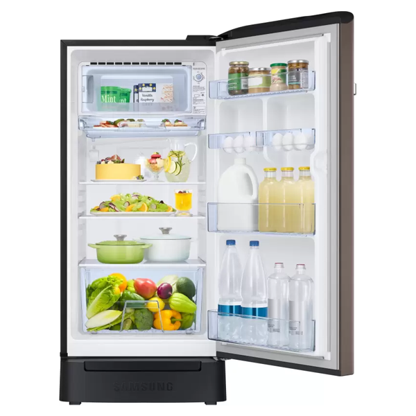 Buy Samsung 189L 5 Star RR21C2H25DX/HL Inverter Direct-Cool Single Door Refrigerator - Vasanth & Co