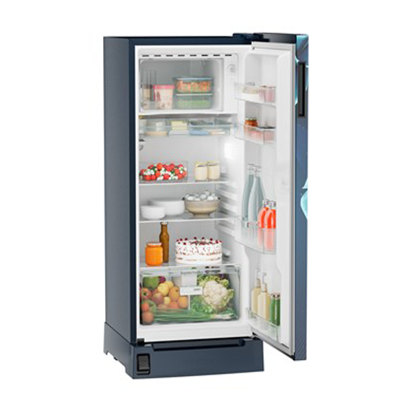 Buy Liebherr 191L in 3 Star DFPldC1921 Plus Single-door refrigerator - Vasanth & Co