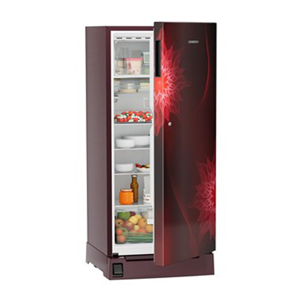 Buy Liebherr 222L in 3 Star DFPrmC2221 Plus Single-door refrigerator - Vasanth & Co