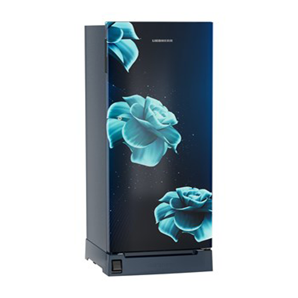 Buy Liebherr 222L in 3 Star DFPldC2221 Plus Single-door refrigerator - Vasanth & Co