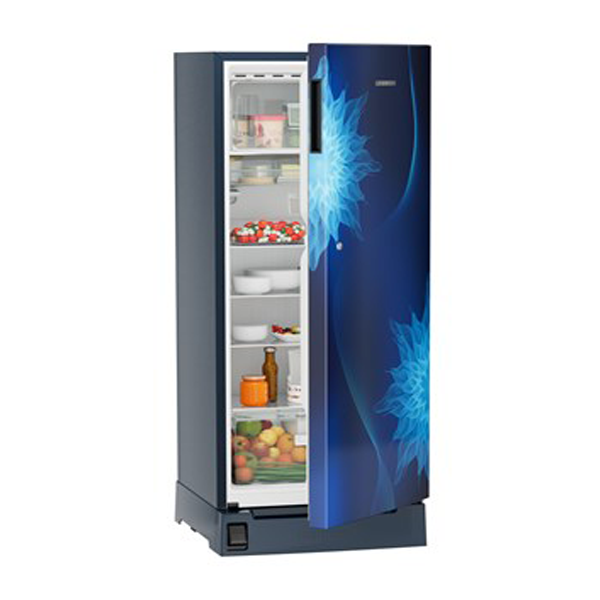 Buy Liebherr 222L in 5 Star DFPlmE2221 Plus Single-door refrigerator - Vasanth & Co