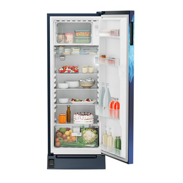 Buy Liebherr 222L in 5 Star DFPlmE2221 Plus Single-door refrigerator - Vasanth & Co