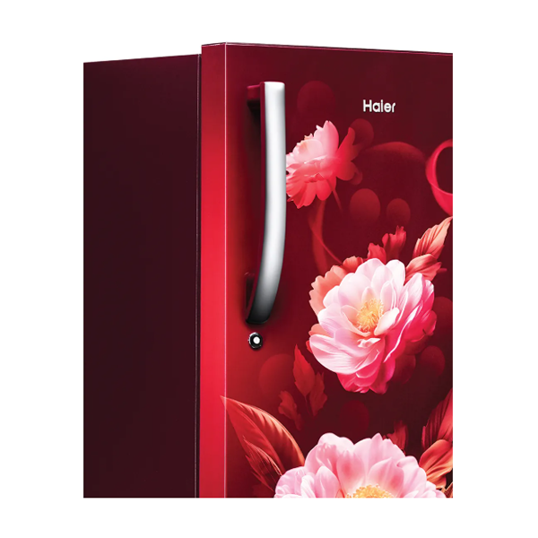 Buy Haier 190 L 2 Star HRD-2102CRV-P Direct Cool Single Door Refrigerator - Vasanth and Co