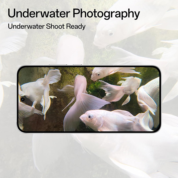 Buy Oppo Reno 14 5G 8GB 256GB Forest Green Mobile Phone – Vasanth & Co