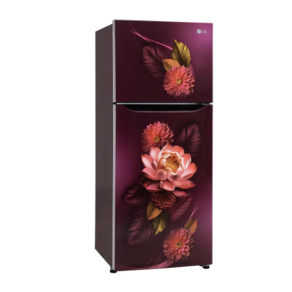 Buy LG 240 L 2 Star GL-S292SRWY Red Water Lily Frost Free Double Door Refrigerator – Vasanth & Co