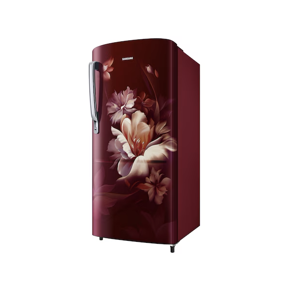 Buy Samsung 183 L RR20D1723RZ/HL Single Door Refrigerator - Vasanth & Co