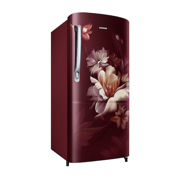 Buy Samsung 183 L RR20D1723RZ/HL Single Door Refrigerator - Vasanth & Co