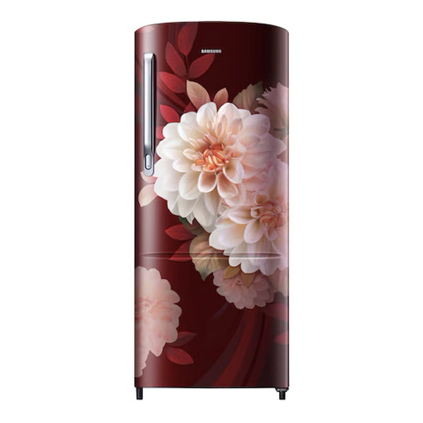 Buy Samsung 183 L RR20F2723BR/NL Single Door Refrigerator - Vasanth & Co
