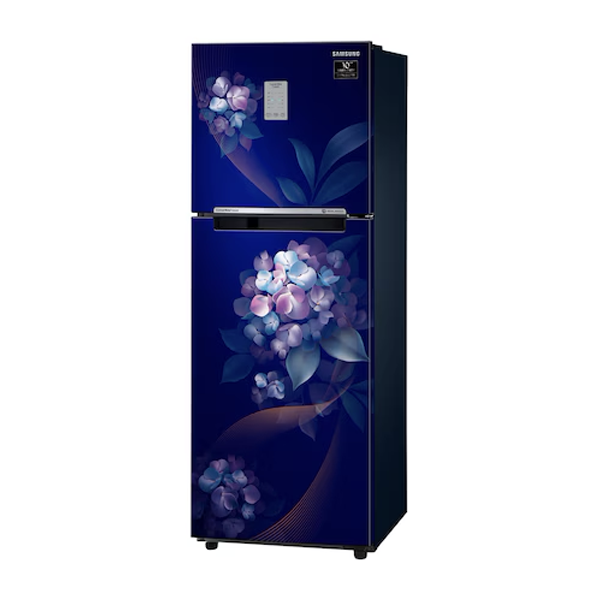 Buy Samsung 236 L 2 Star RT28C3732HS/HL Double Door Refrigerator - Vasanth & Co