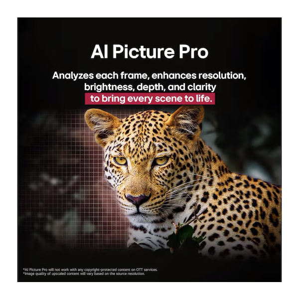 Buy LG 121cm 48 inch OLED48C56LA 4K OLED evo AI TV - Vasanth and Co