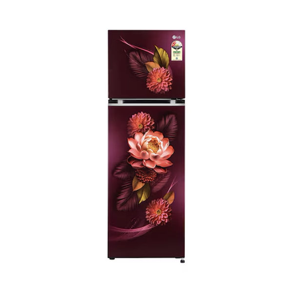 Buy LG 272L 2 Star GL-S312SRWY Double Door Refrigerator - Vasanth and Co