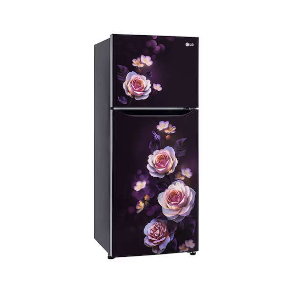 Buy LG 242L 2 Star GL-N292DPBY Double Door Refrigerator - Vasanth and Co