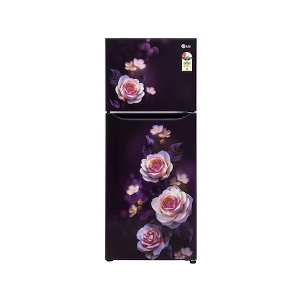 Buy LG 242L 2 Star GL-N292DPBY Double Door Refrigerator - Vasanth and Co