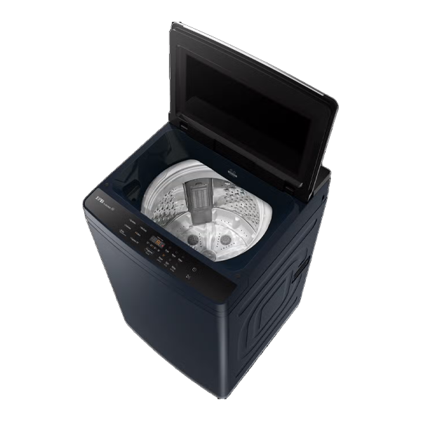 Buy IFB 6.5 kg 5 Star TL650CB1 Top Load Washing Machine with ActivMix – Vasanth and Co