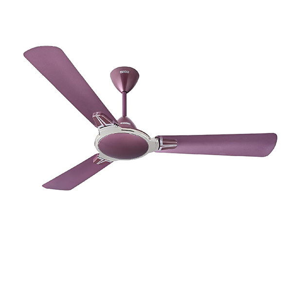 Buy Usha 1200 mm 1 Star Striker Platinum Pearl White & Lavender Chrome Ceiling Fan – Vasanth and Co