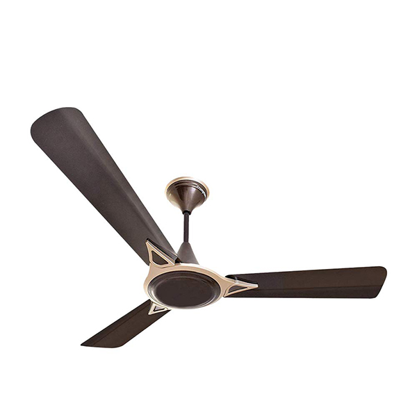 Buy Crompton 1200 mm 48 Inch Avancer Prime Decorative Ceiling Fan – Vasanth and Co