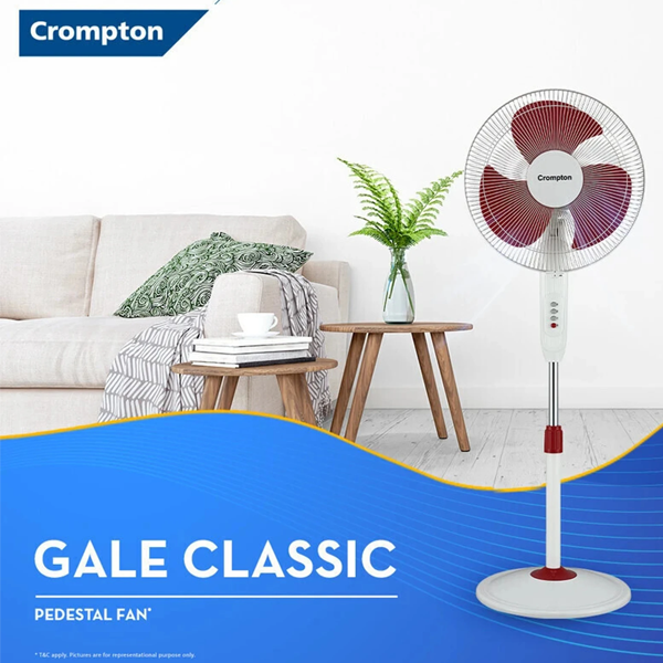 Buy Crompton 400 MM Hispeed Gale Classic Black Pedestal Fan – Vasanth and Co