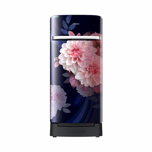 Buy Samsung 189 L 5 Star RR21H2H25BB/HL Direct Cool Single Door Refrigerator - Vasanth and co