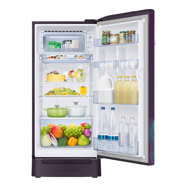 Buy Samsung 189 L 5 Star RR21H2H259R/HL Direct-Cool Single Door Refrigerator - Vasanth & Co