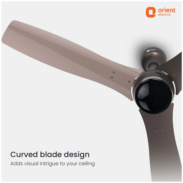 Buy Orient 1200MM Aeon Antidust BLDC Magma Grey Ceiling Fan - Vasanth & Co