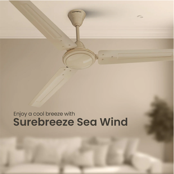 Buy Crompton 48 Inch 1Z Sea Breeze / Wind Ceiling Fan - Vasanth & Co