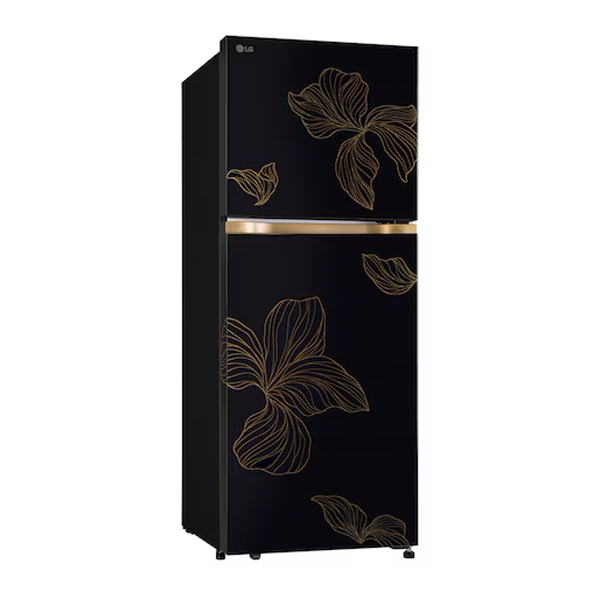 Buy LG 225L 1 Star GLT2216WYRO Radiant Onyx Double Door Refrigerator - Vasanth & Co
