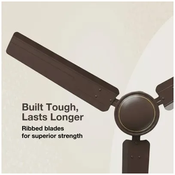 Buy Havells Reo Vaayu 1200mm ES Smoke Brown Ceiling Fan - Vasanth & Co