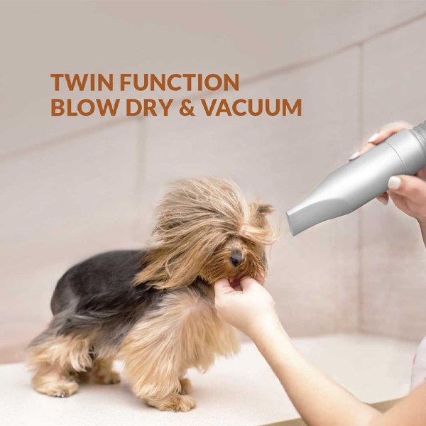 Buy Eureka Forbes Buddy Pet Grooming Kit Vacuum Cleaner - Vasanth & Co