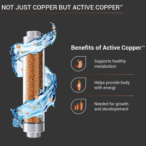 Buy Eureka Forbes Aquaguard Enrich Superio UV+UF Stainless Steel Copper Water Purifier - Vasanth & Co