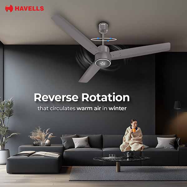 Buy Havells 1200 mm Epic Signia BLDC+ Stone Grey Ceiling Fan Online - Vasanth & Co