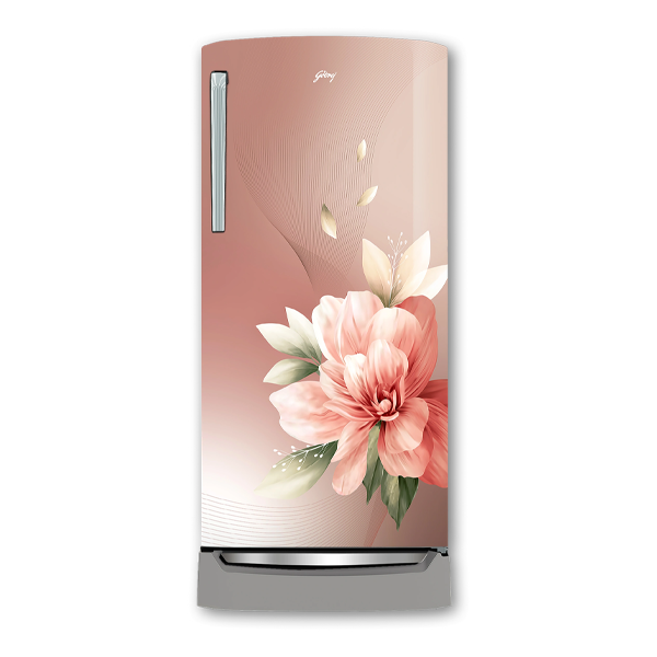 Buy Godrej 194 L 5 Star Edge Marvel 215EN TDI RS BM Direct Cool Refrigerator - Vasanth & Co