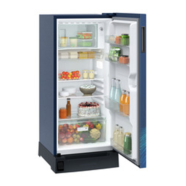 Buy Liebherr 191 l in 3 star DFPASC 1931 Single-door refrigerator - Vasanth & Co