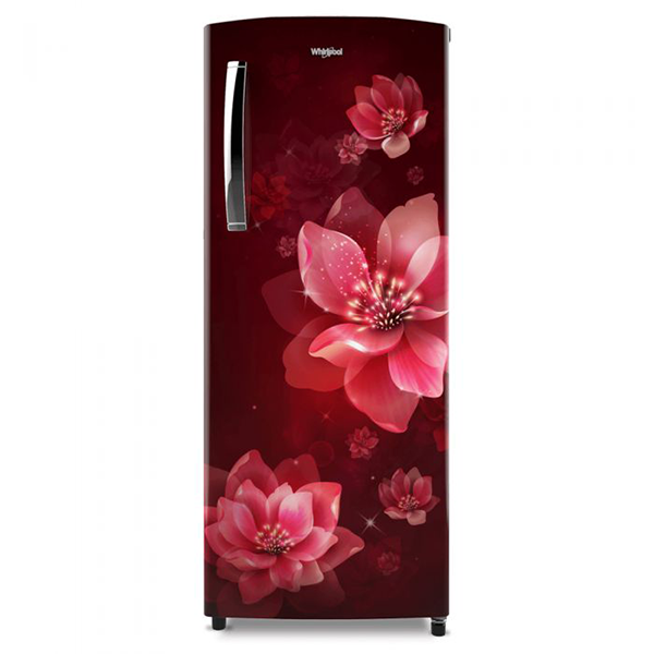 Buy Whirlpool 236L 3 Star 260 IMPRO PLUS PRM Single Door Refrigerator(WINE MULIA) | Vasanth &amp; Co