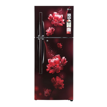 LG 240 L 2 Star GL-S292RSCY Frost Free Double Door Refrigerator | Vasanth &amp; Co