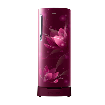 Samsung 192 L 2 Star RR20A181BR8/HL Direct Cool Single Door Refrigerator | Vasanth &amp; Co
